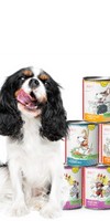Dog Accessories Wet pet food Dog Trial Package (Hunde-Schnupperpaket) 200g 1 Set with various varieties, flakes and trial packages Anifit